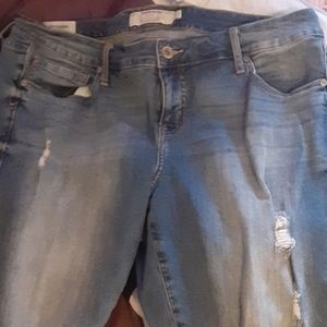 Torrid jeans